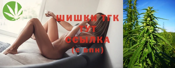 мяу мяу мука Михайлов
