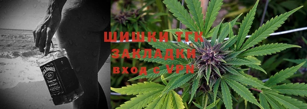 прущие грибы Мегион
